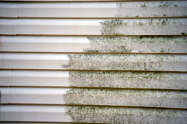 Best Attic Cleanout  in Michigan City, IN
