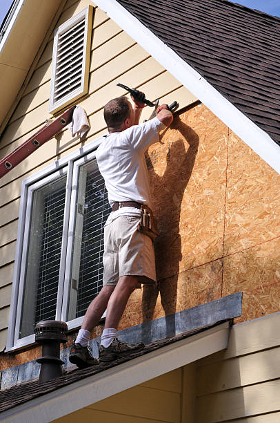 Best Hoarding Cleanup  in Michigan City, IN